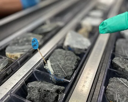 Three rows of rock samples in trays, which are separated by long rulers.